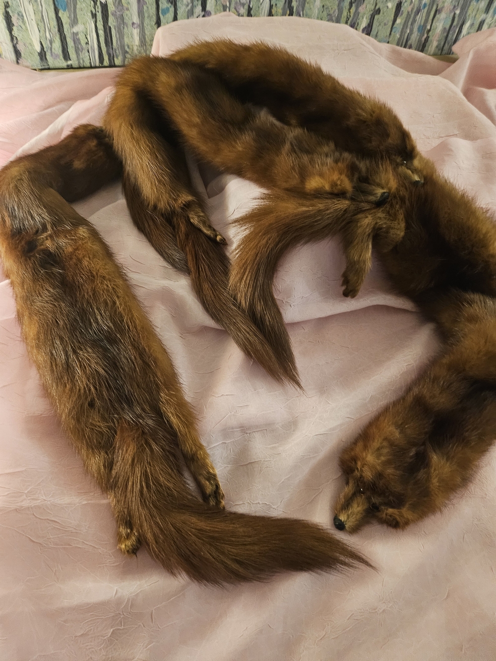 Authentic 1950's Vintage 4 Mink Stole Wrap Genuine Brown Red Fur Clasp Closure